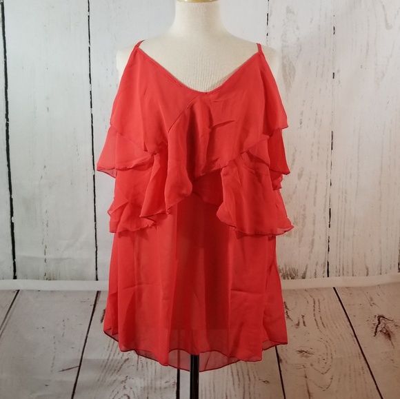 Sheer Ruffle Camisole Plus Size Top - Picture 3 of 8